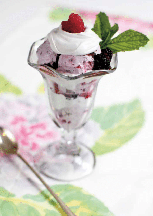 Beat the Heat and Be Good to Your Gut DairyFree Ice Cream Recipes