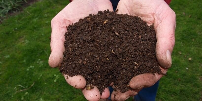 II. Benefits of Compost in Gardening