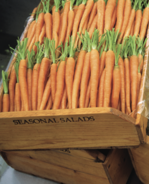 winter carrots 