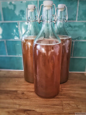 kombucha in glass bottles