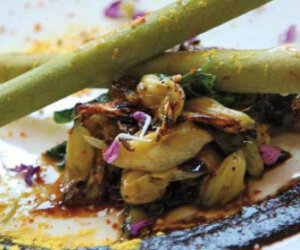 foraging recipes for cattails