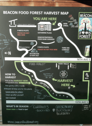 beacon harvest map