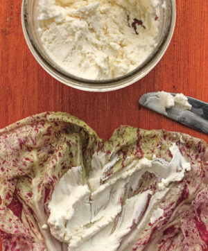 chevremix ArtNaturalCheesemaking book Make Your Personal Chèvre Utilizing Pure Components