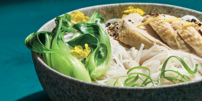 Vietnamese Chicken Noodle Soup A Better Way To Feel Better vietnamese-chicken-noodle-soup-a-better-way-to-feel-better