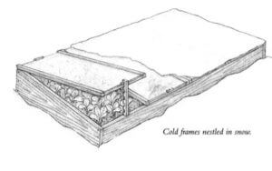 cold frame