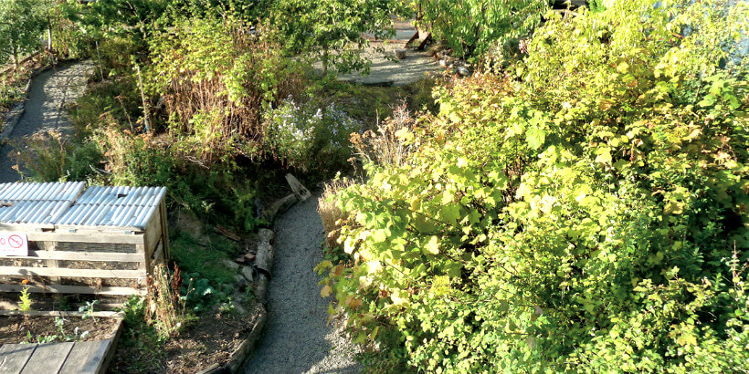 agroforestry - public garden