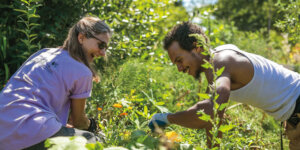 two people gardening