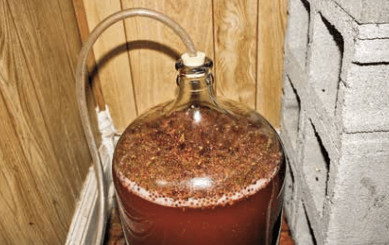 Glass carboy used for fermentation with an airlock, filled with reddish liquid and foamy krausen at the top, in a wood-paneled room next to concrete blocks.