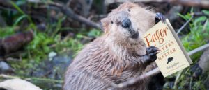 beaver with eager book