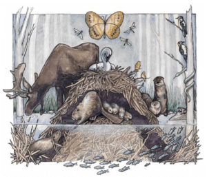 drawing of woodland animals