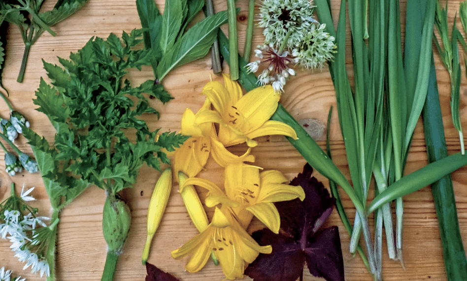 Assorted garden stems and flowers on a wooden surface, featuring yellow daylilies, green foliage, and purple leaves.