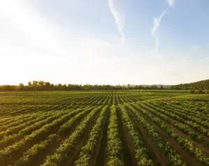 farm soil health