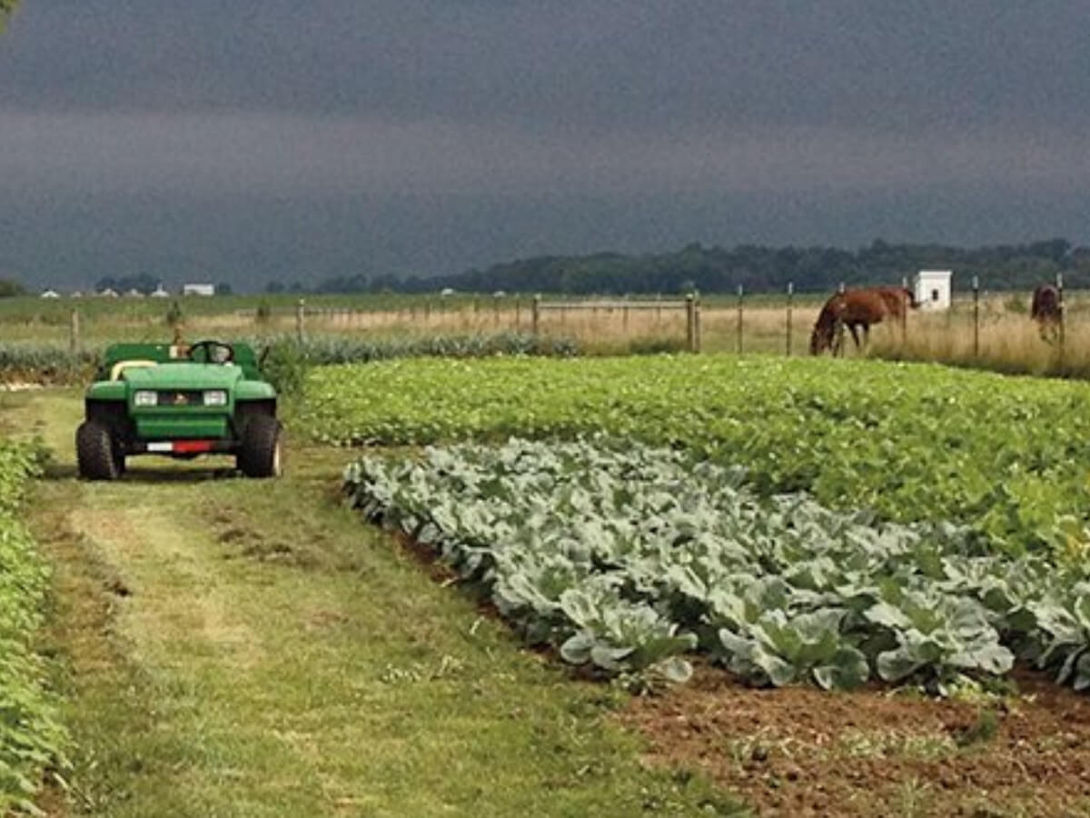 Farming Homesteading Chelsea Green Publishing