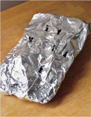 wood foraging - foil