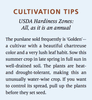 cultivation tips