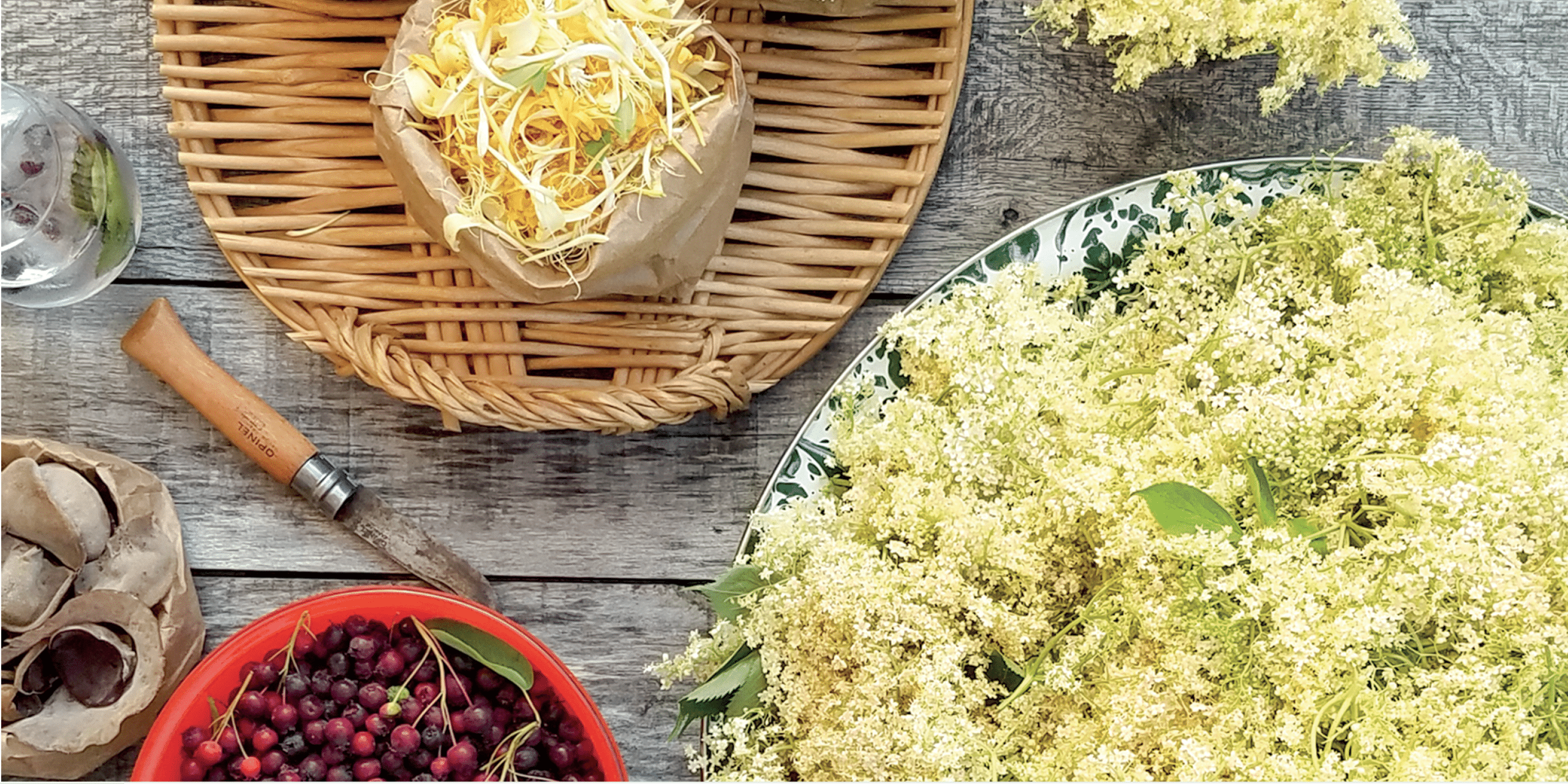 Elderflower And Elderberry Taste Best Flower Site