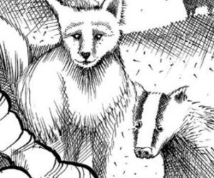 activities for summer vacation - walk like a fox