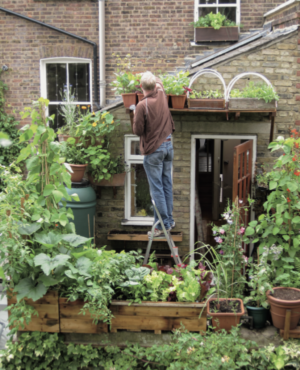 gardening verticalveg book The best way to Design Your Personal Container Backyard