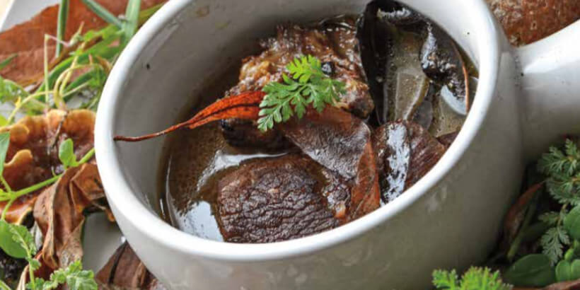 foraged and fermented