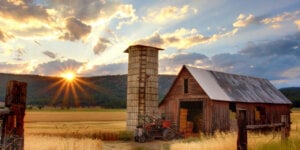 Farm with sunset