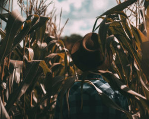 farmer in field