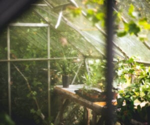 building your own greenhouse - insulation