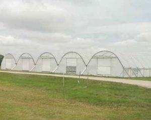 field tunnels