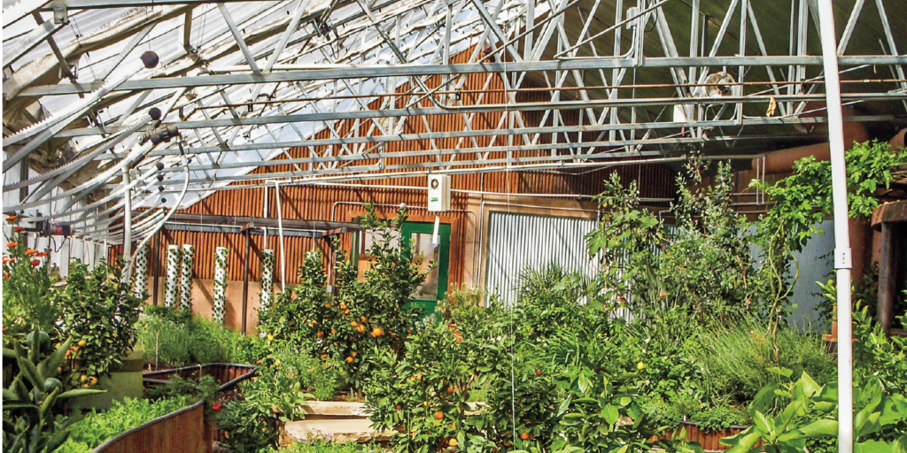 Greenhouse Construction