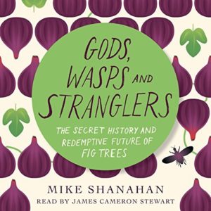 gods, wasps, and stranglers