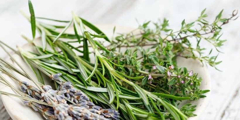 20 Aromatic Asian Herbs & Spices to Enrich Your Cooking