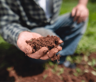 regenerative grazing