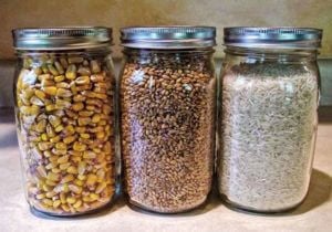 seeds in jars