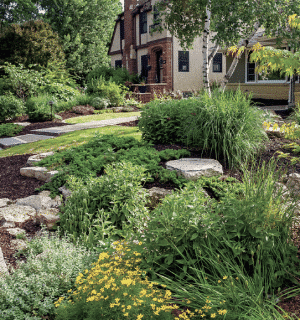 Front yard garden with stone stepping stones leading to a brick house, surrounded by lush perennials and yellow flowers.