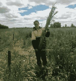 australian boy with crop Photo by Bruce Maynard