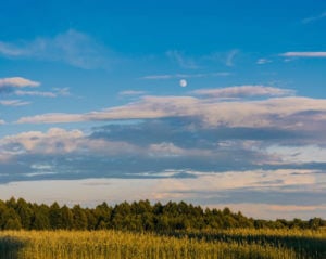 moon over field in daylight
