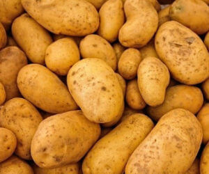 potatoes