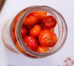 preserving vegetables - tomatoes