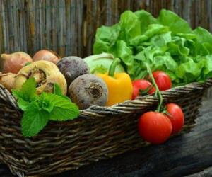 basket of produce
