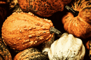 fall recipes - pumpkins