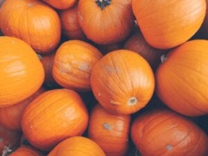 seasonal desserts - pumpkins