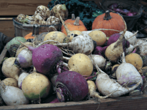 fall vegetables
