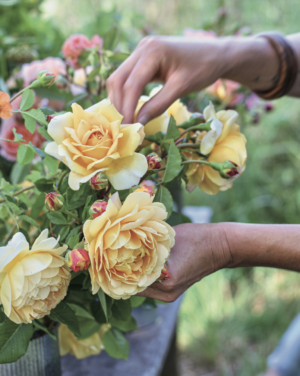 flower farm