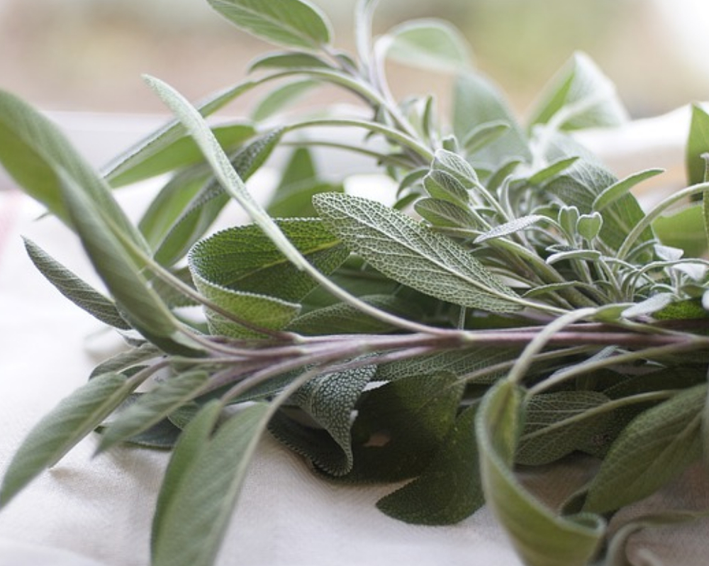 Cooking Sage