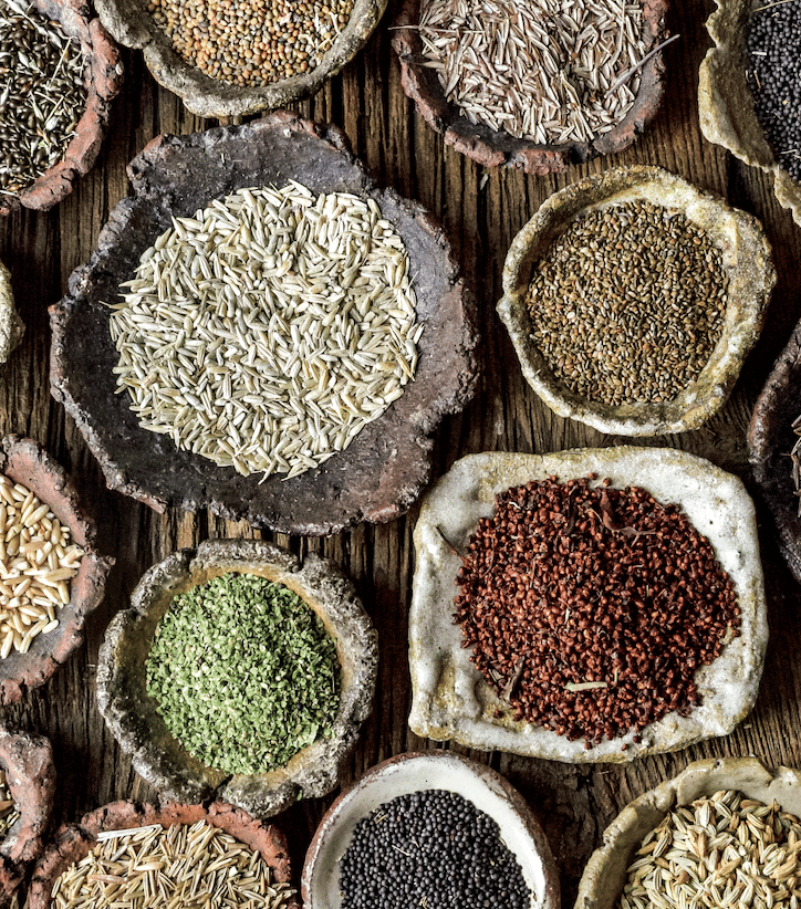 edible grass seeds