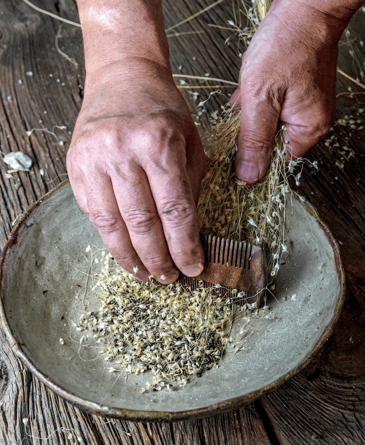 extracting seeds