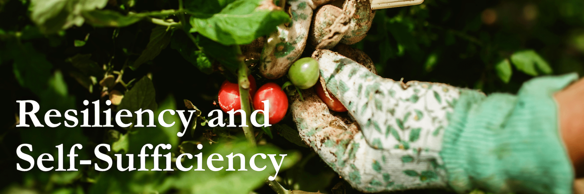 self-sufficient-banner-2026