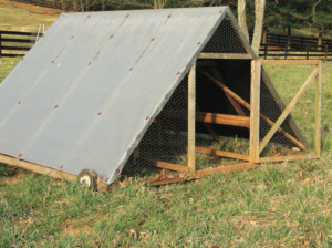 chicken tractors - mobile shelter