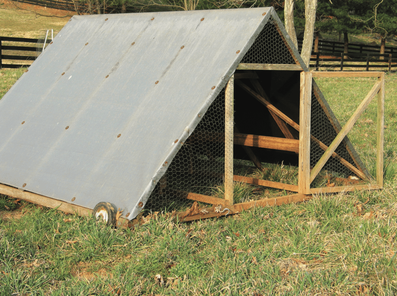 chicken tractors - mobile shelter