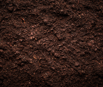 soil