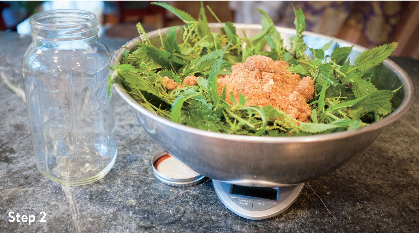 A Drink Only a Garden Could Love Fermented Plant Juice